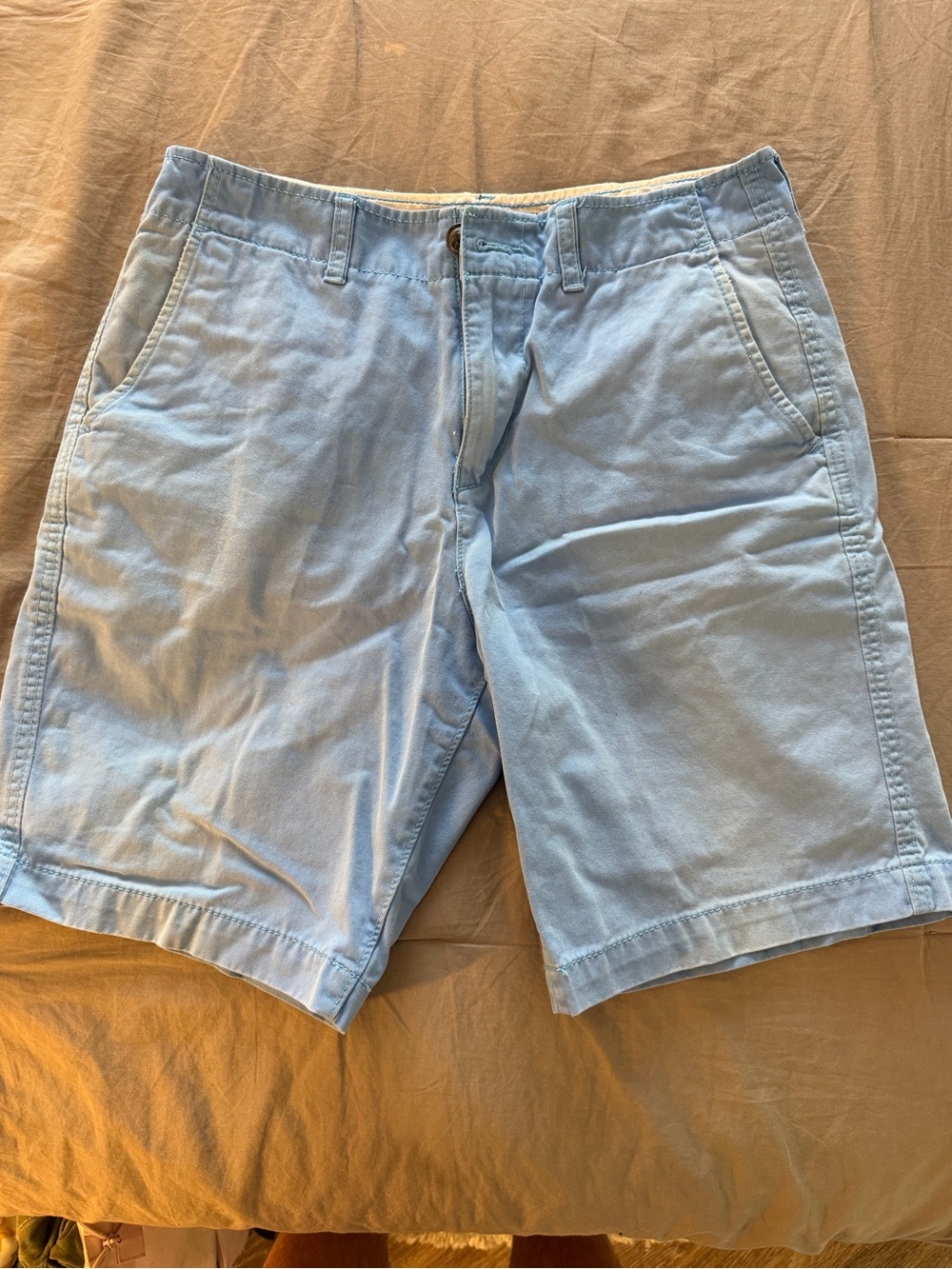 American Eagle Light Blue Men's Cotton Shorts